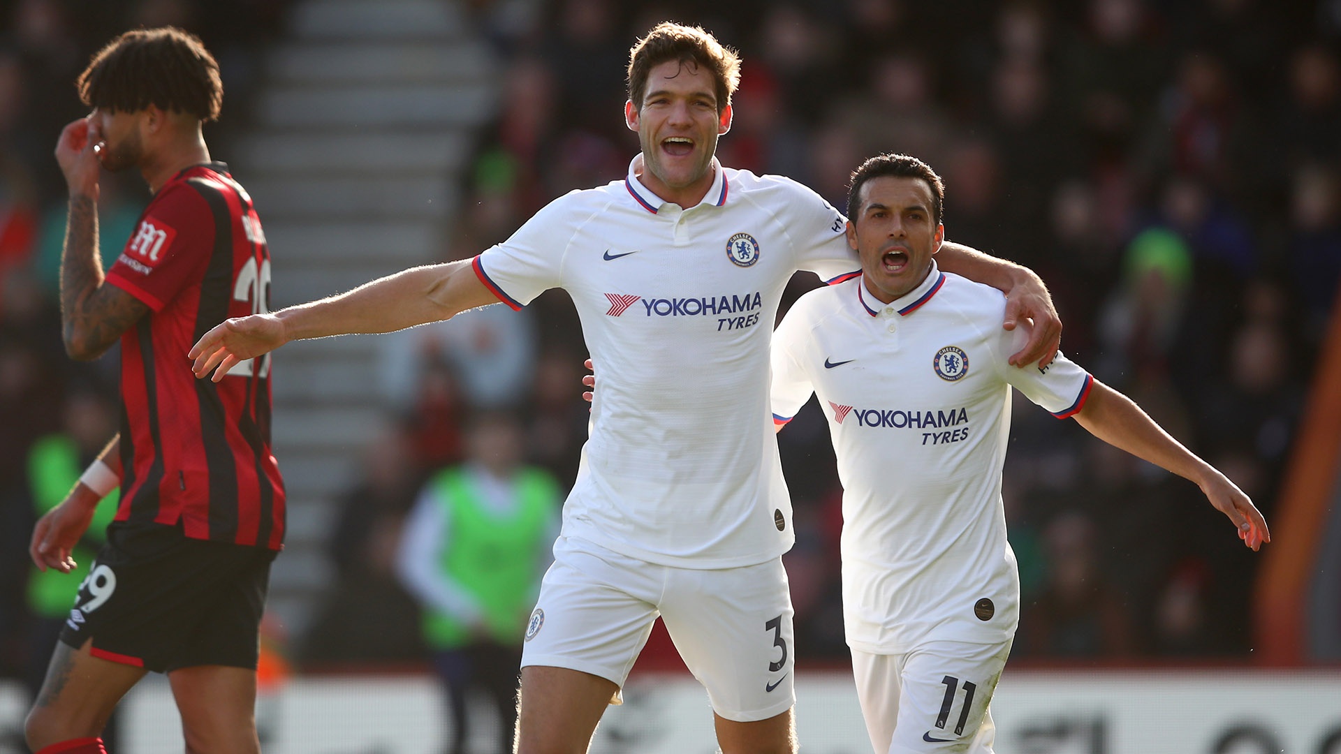 的同场竞技 的同场竞技